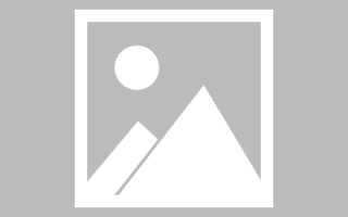 桂林关于网站建设免费（关于网站建设免费的通知）